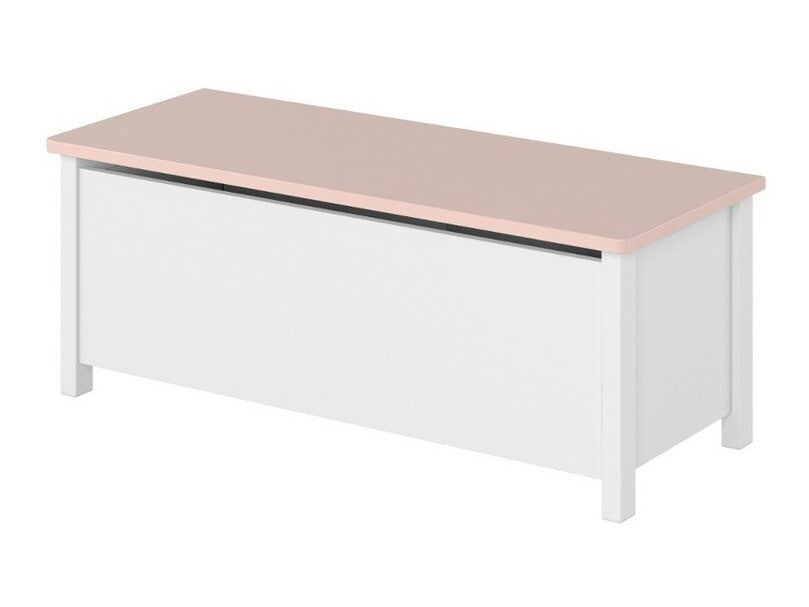 Uzglabāšanas kaste 58829