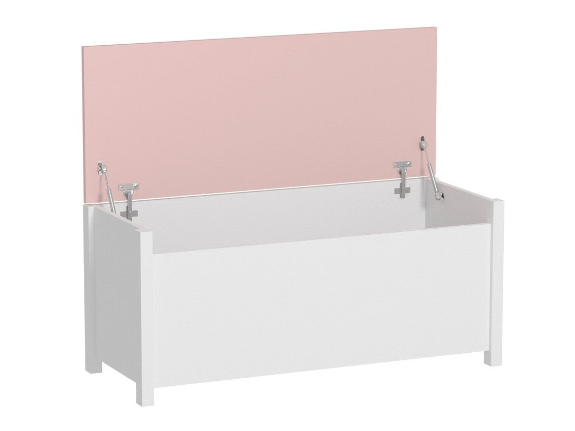 Uzglabāšanas kaste 58829