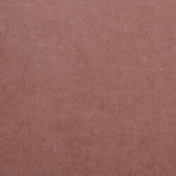 Kontinentālā gulta 314219