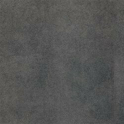 Kontinentālā gulta 314219