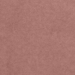 Kontinentālā gulta 314938