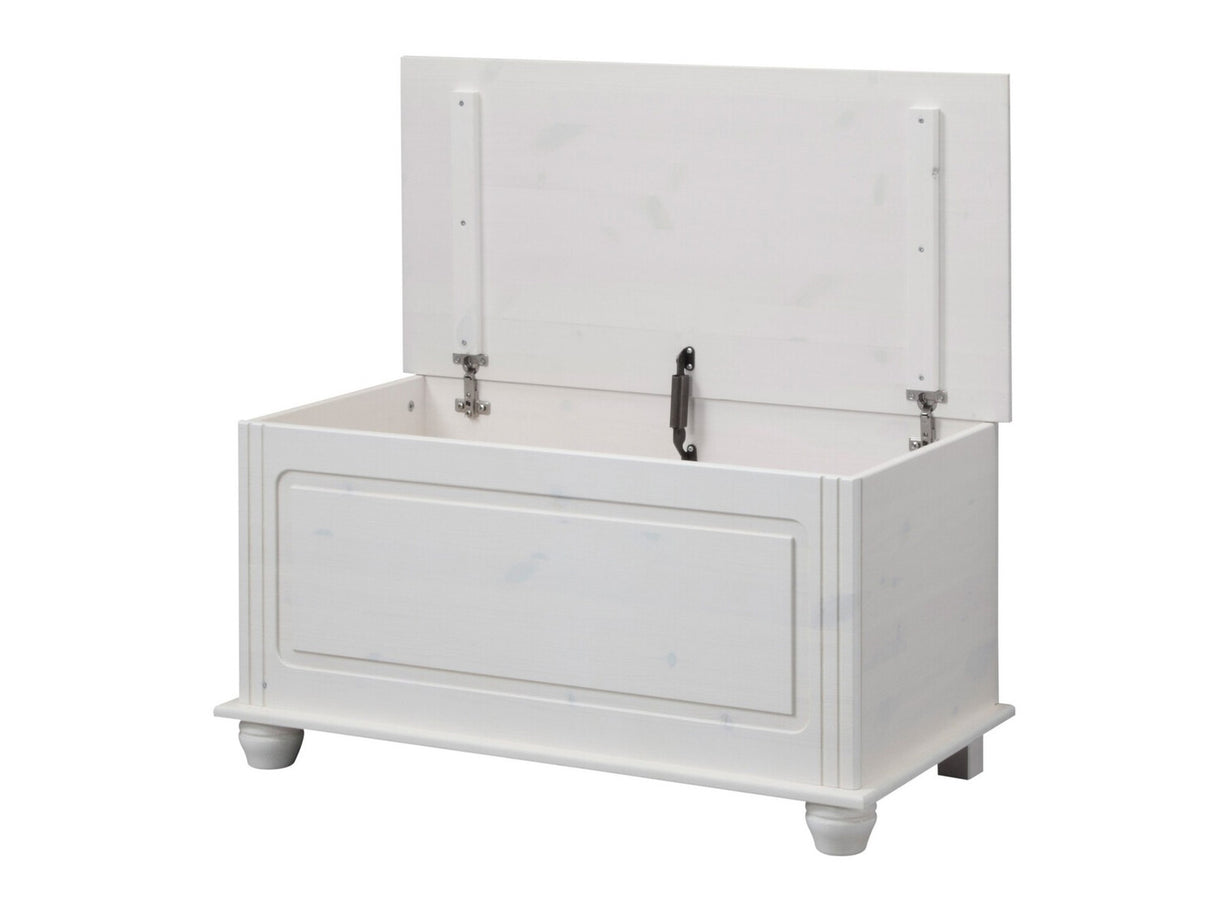 Uzglabāšanas kaste 448558