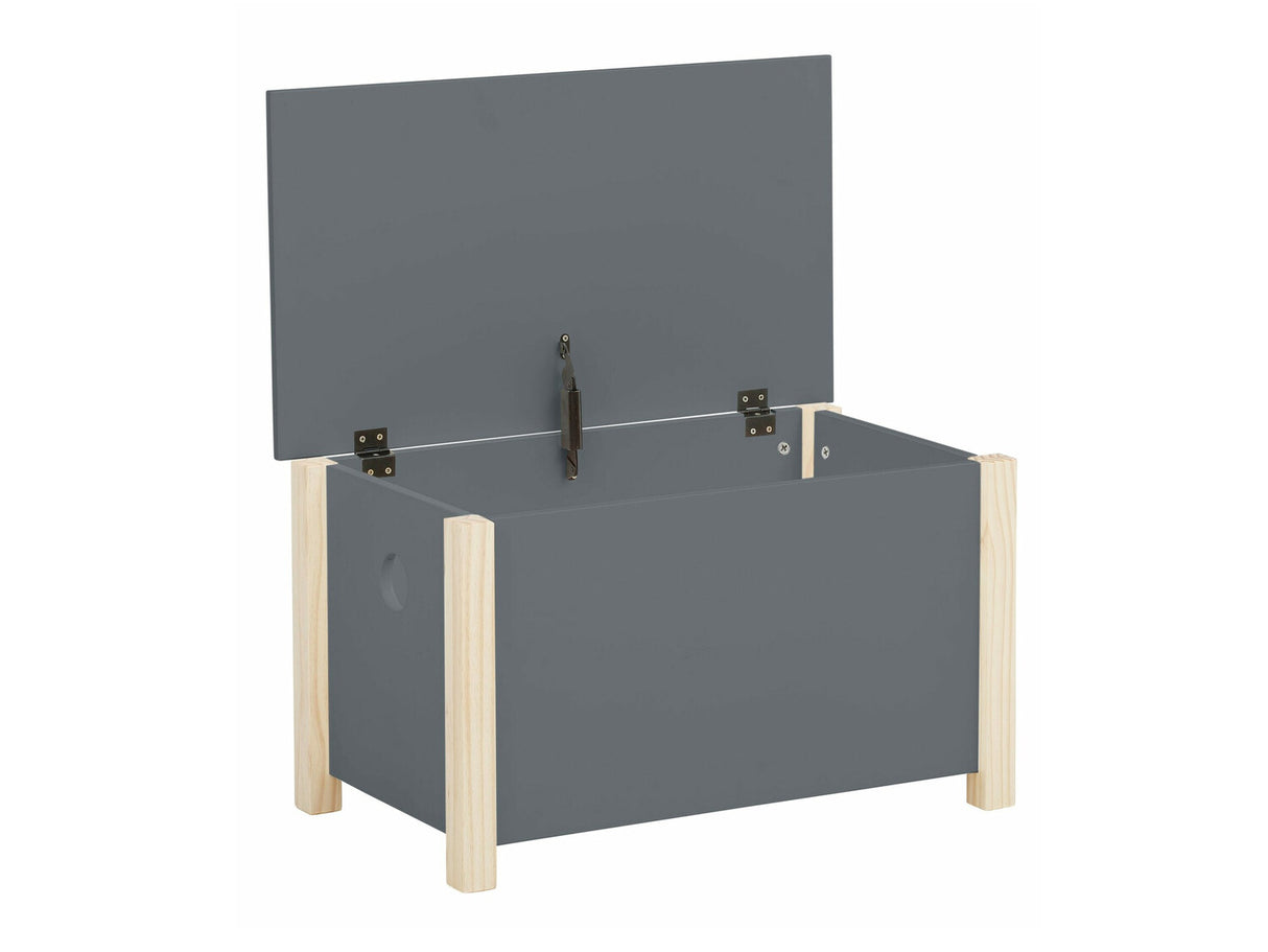 Uzglabāšanas kaste 459286