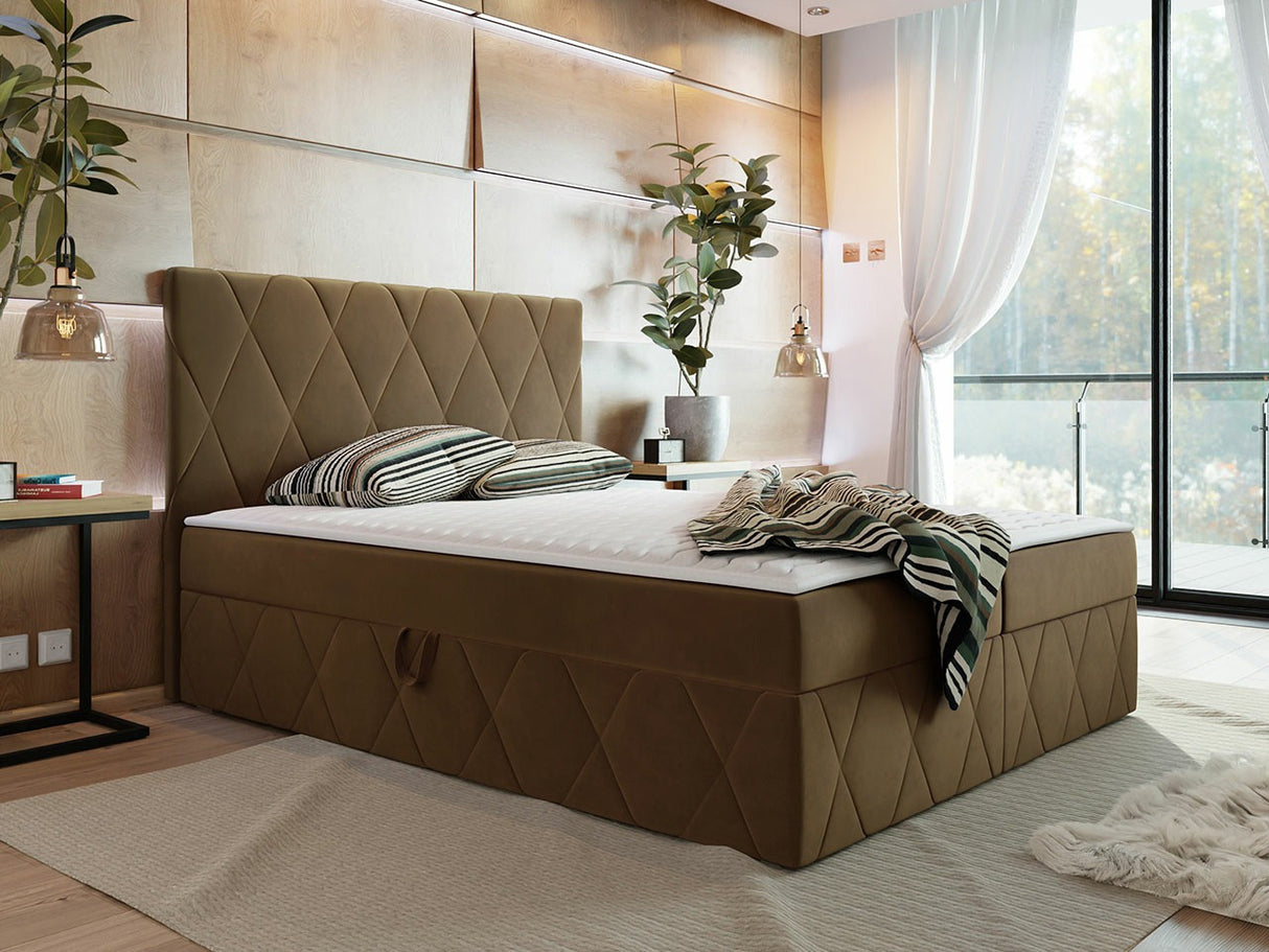 Kontinentālā gulta 481123