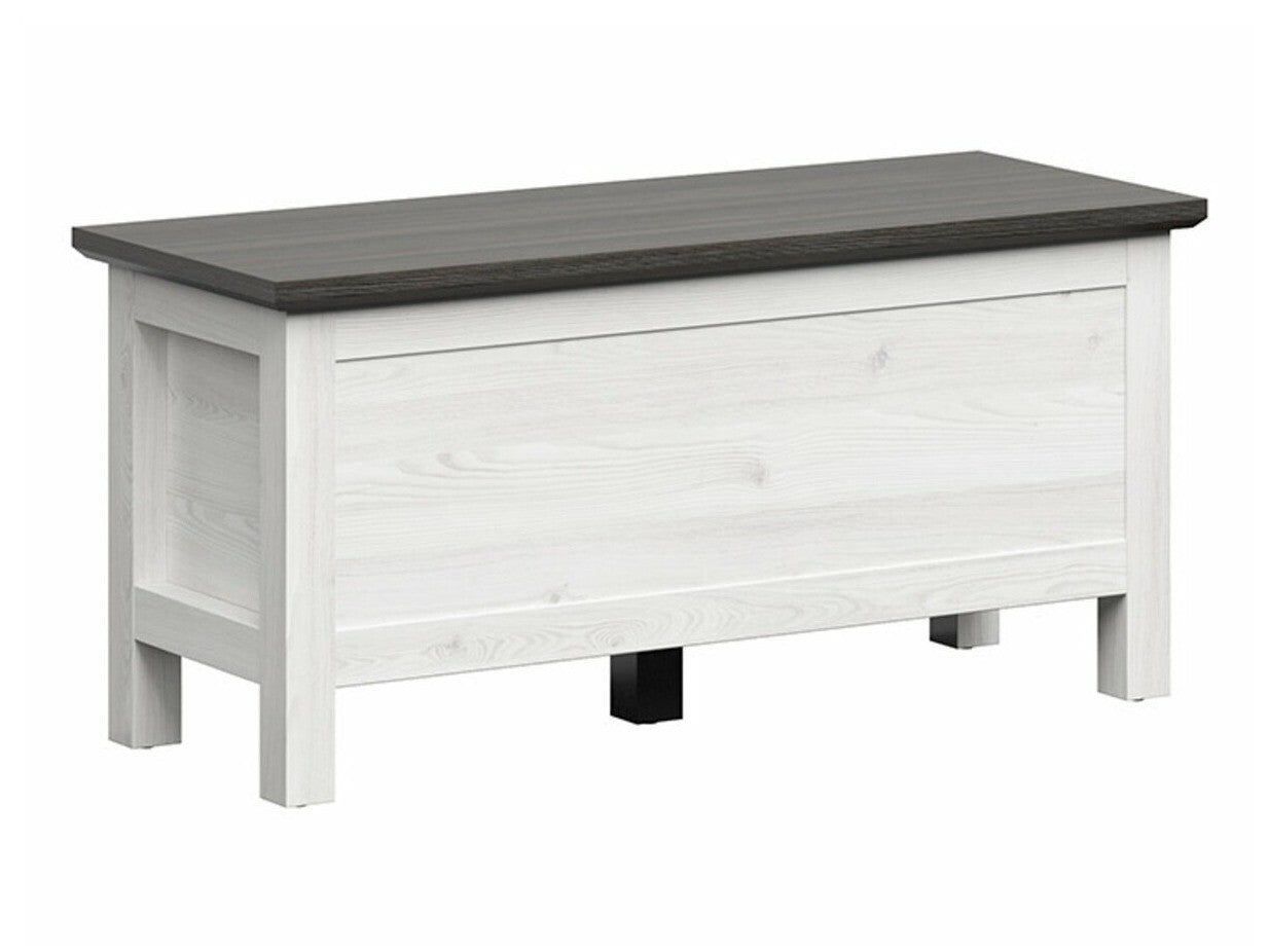 Uzglabāšanas kaste 488901