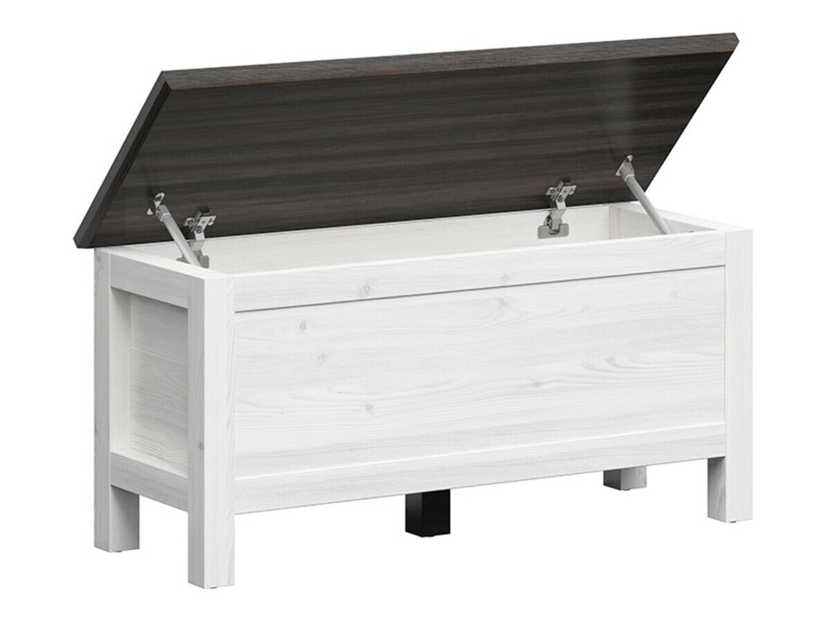 Uzglabāšanas kaste 488901