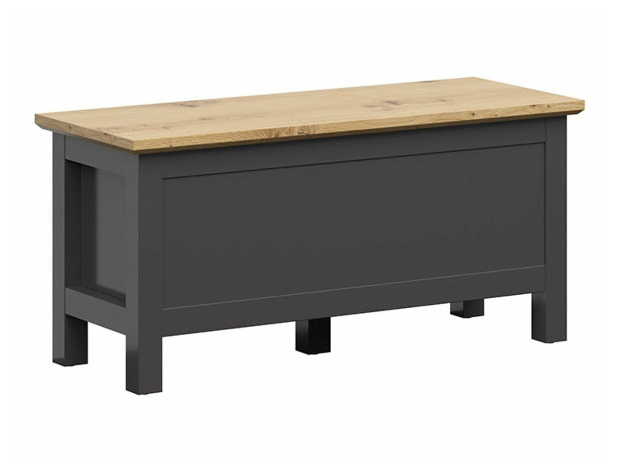 Uzglabāšanas kaste 488901