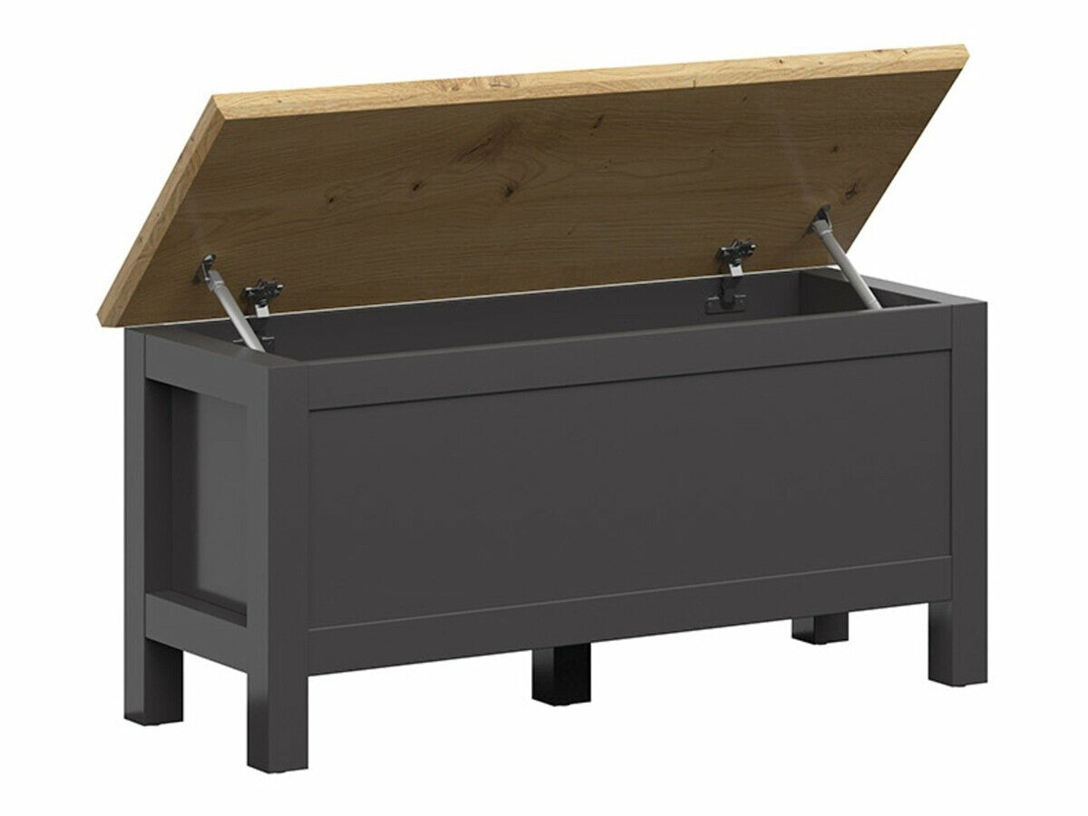 Uzglabāšanas kaste 488901