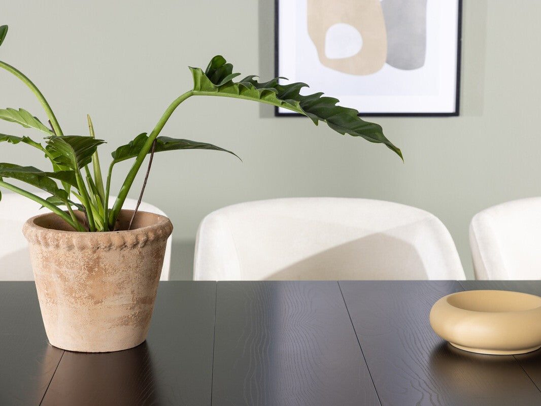 Ēdamistabas komplekts 498103