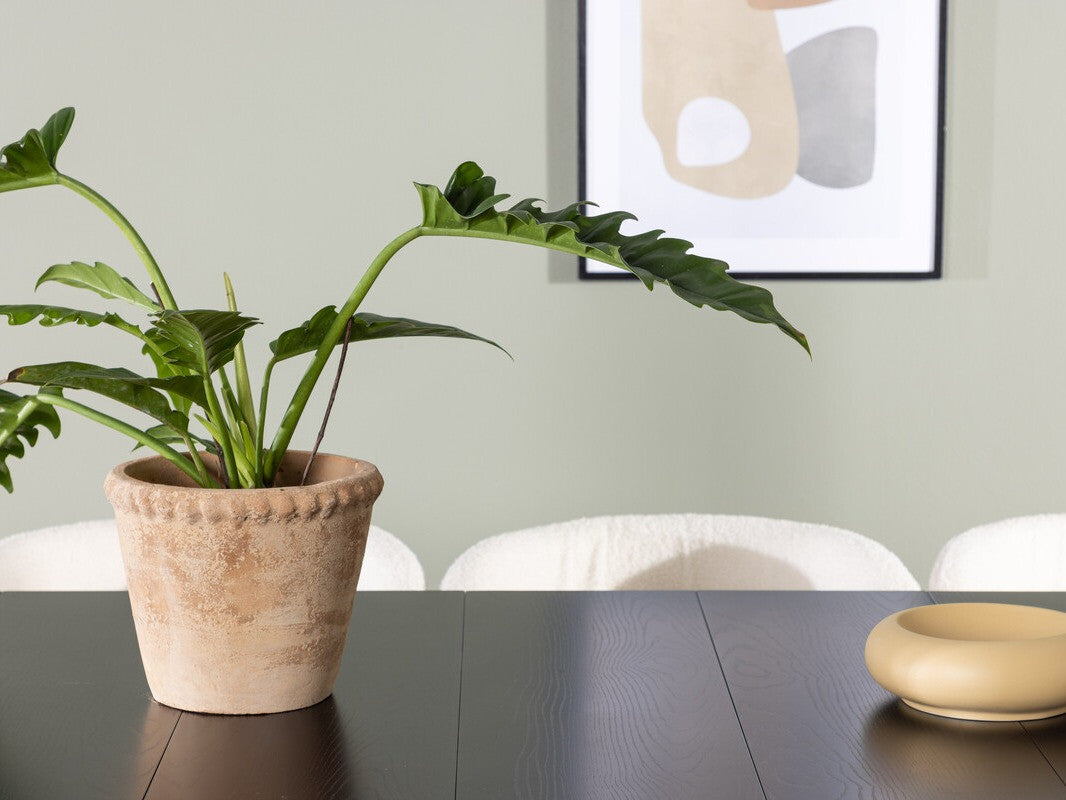 Ēdamistabas komplekts 498104