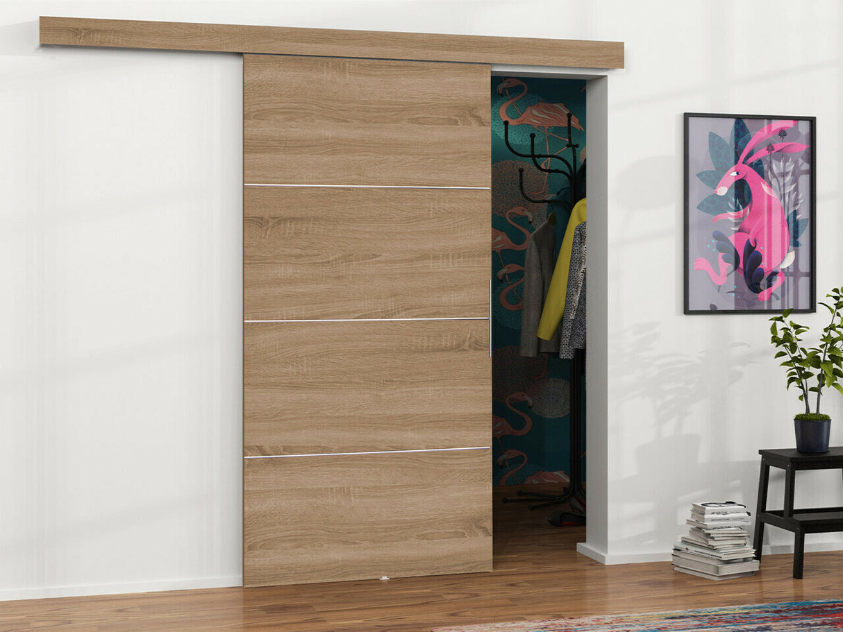 Bīdāmās durvis 504827