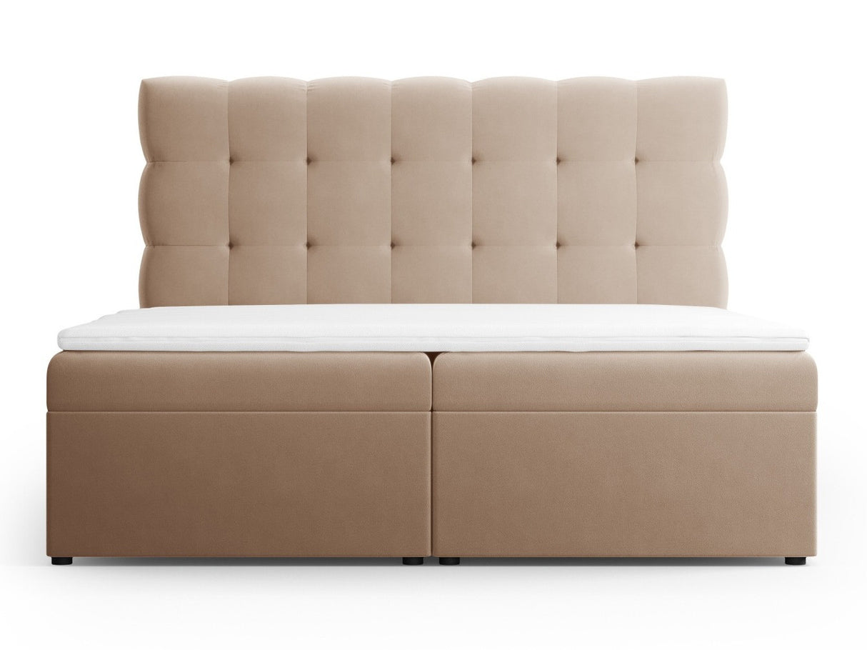 Kontinentālā gulta 539238