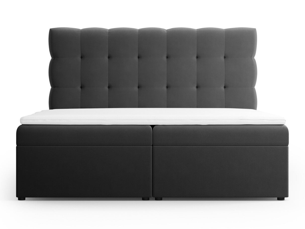 Kontinentālā gulta 539238