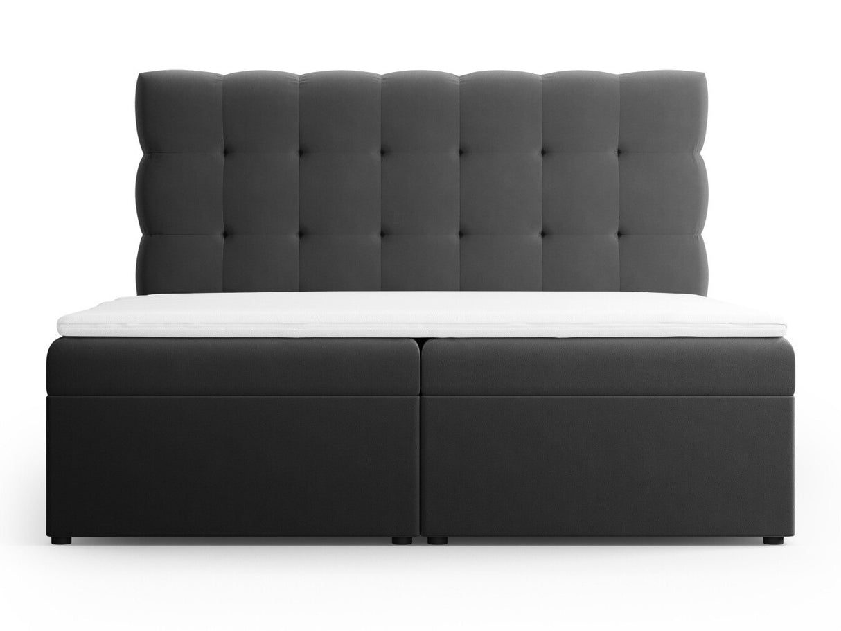 Kontinentālā gulta 539238