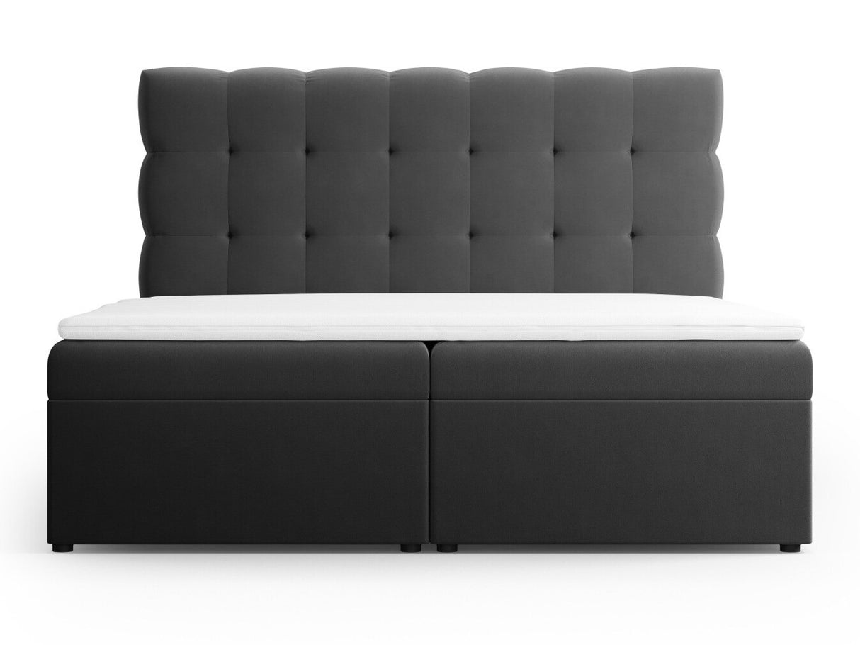 Kontinentālā gulta 539238