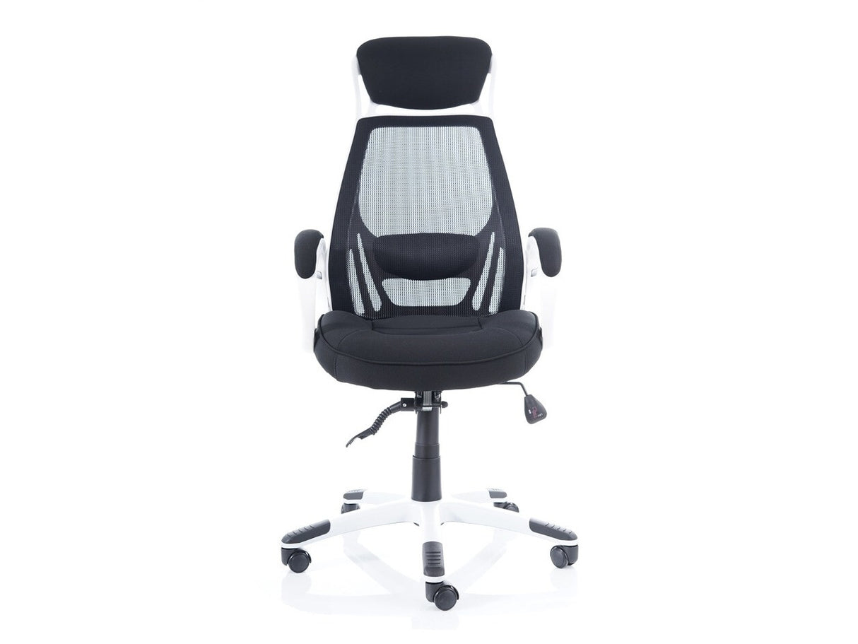 Biroja krēsls 548061