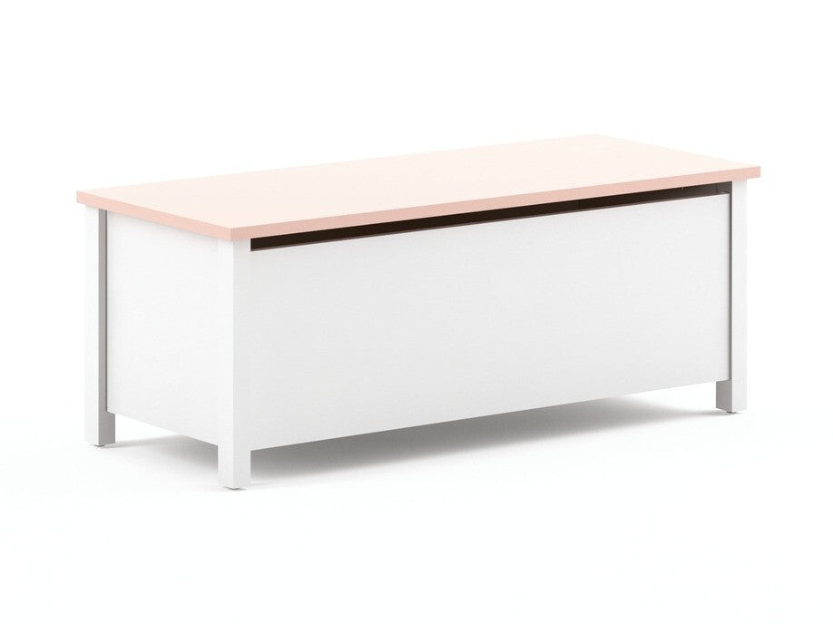 Uzglabāšanas kaste 453880