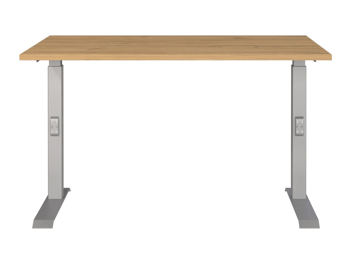 Rakstāmgalds 529318