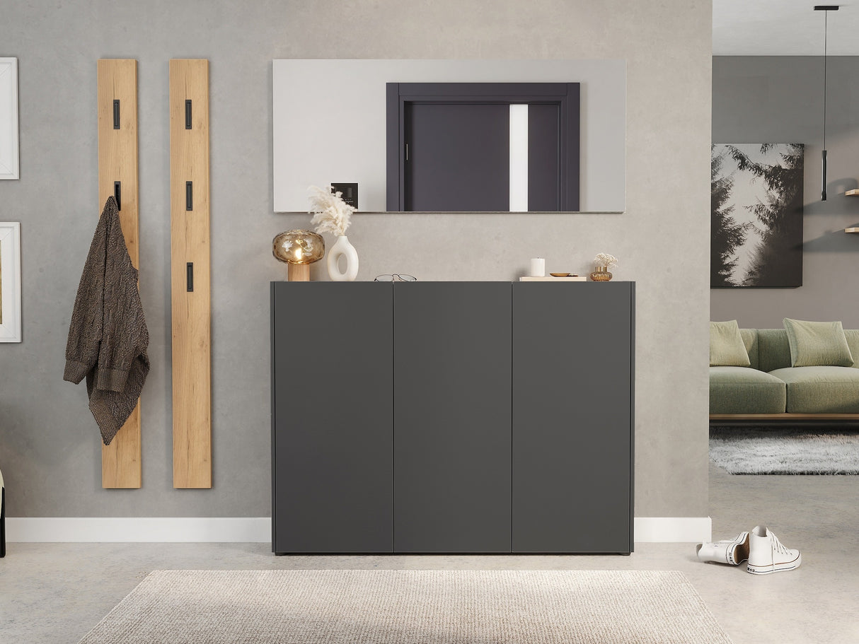 Apavu plaukts 594720