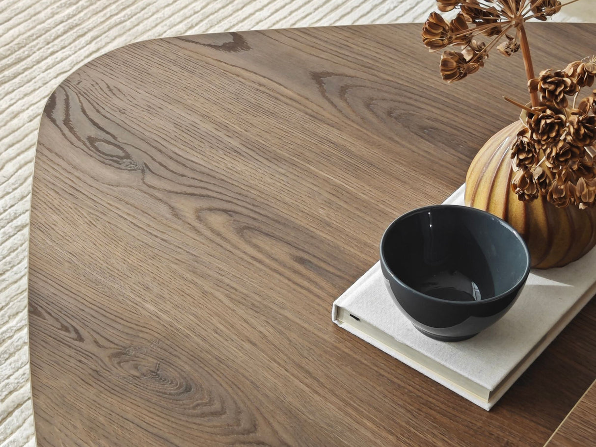 Žurnālu galdiņu komplekts 596984