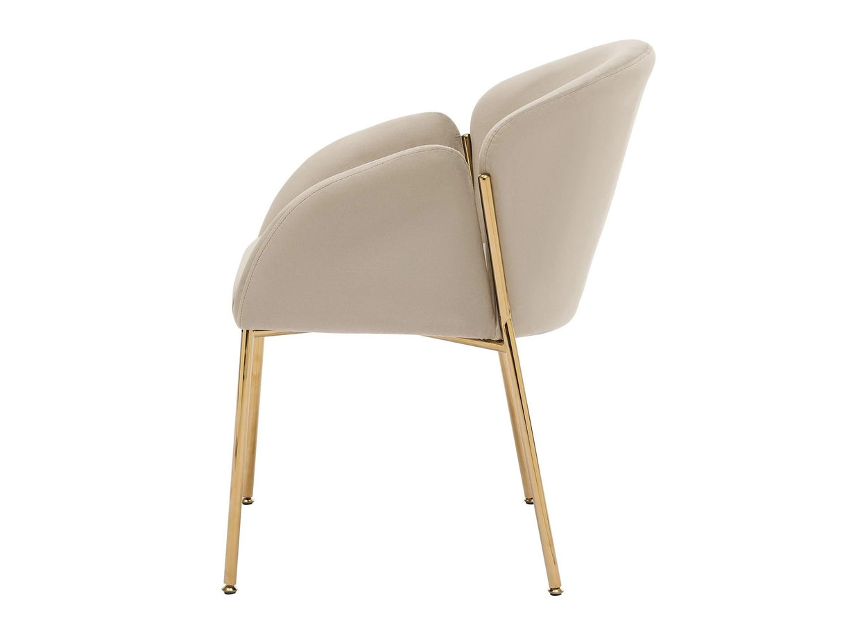 Krēslu komplekts 605505 4215015