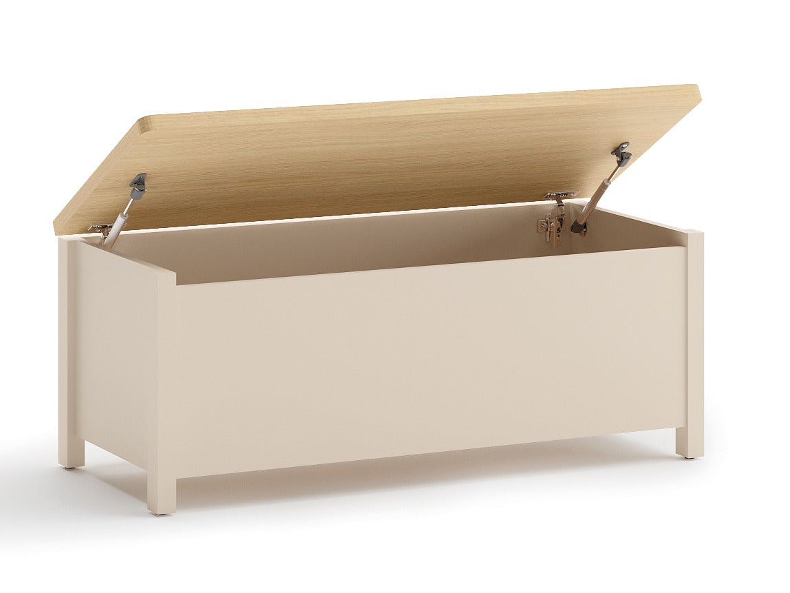 Uzglabāšanas kaste 611773