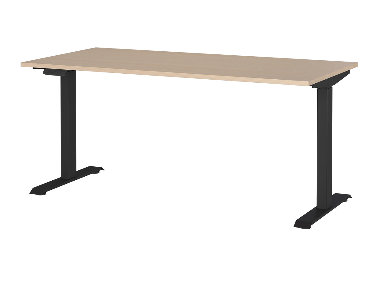 Mājas biroja komplekts 612171