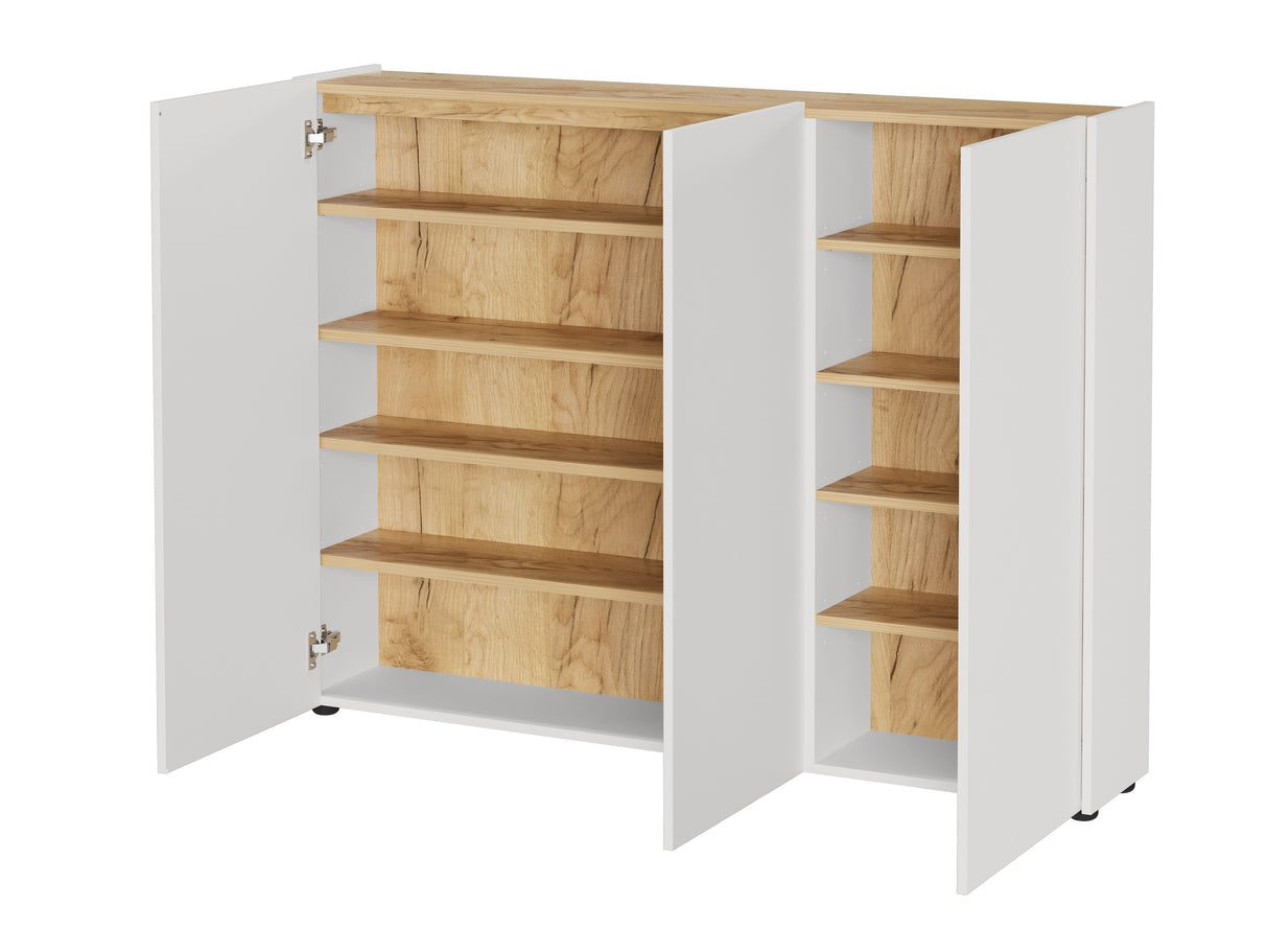 Apavu plaukts 594720