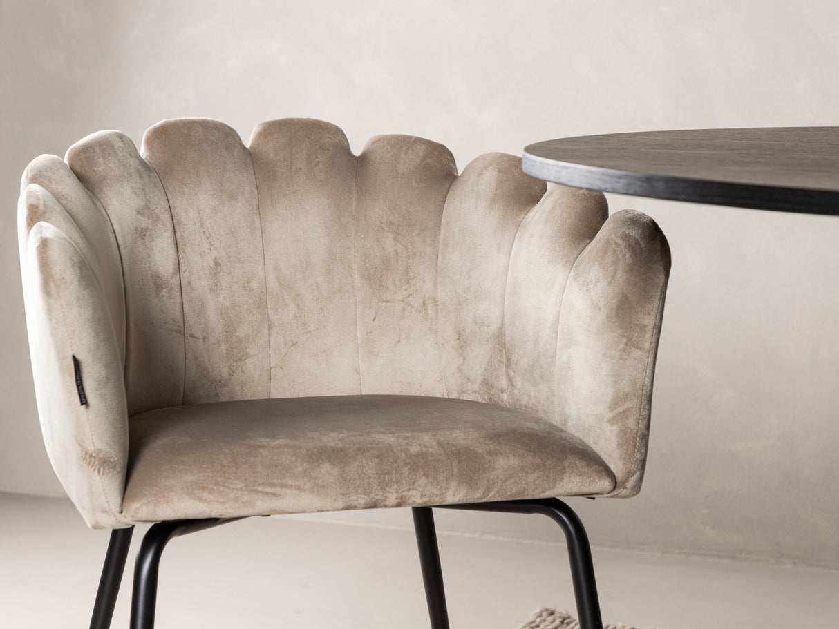 Ēdamistabas komplekts 623621