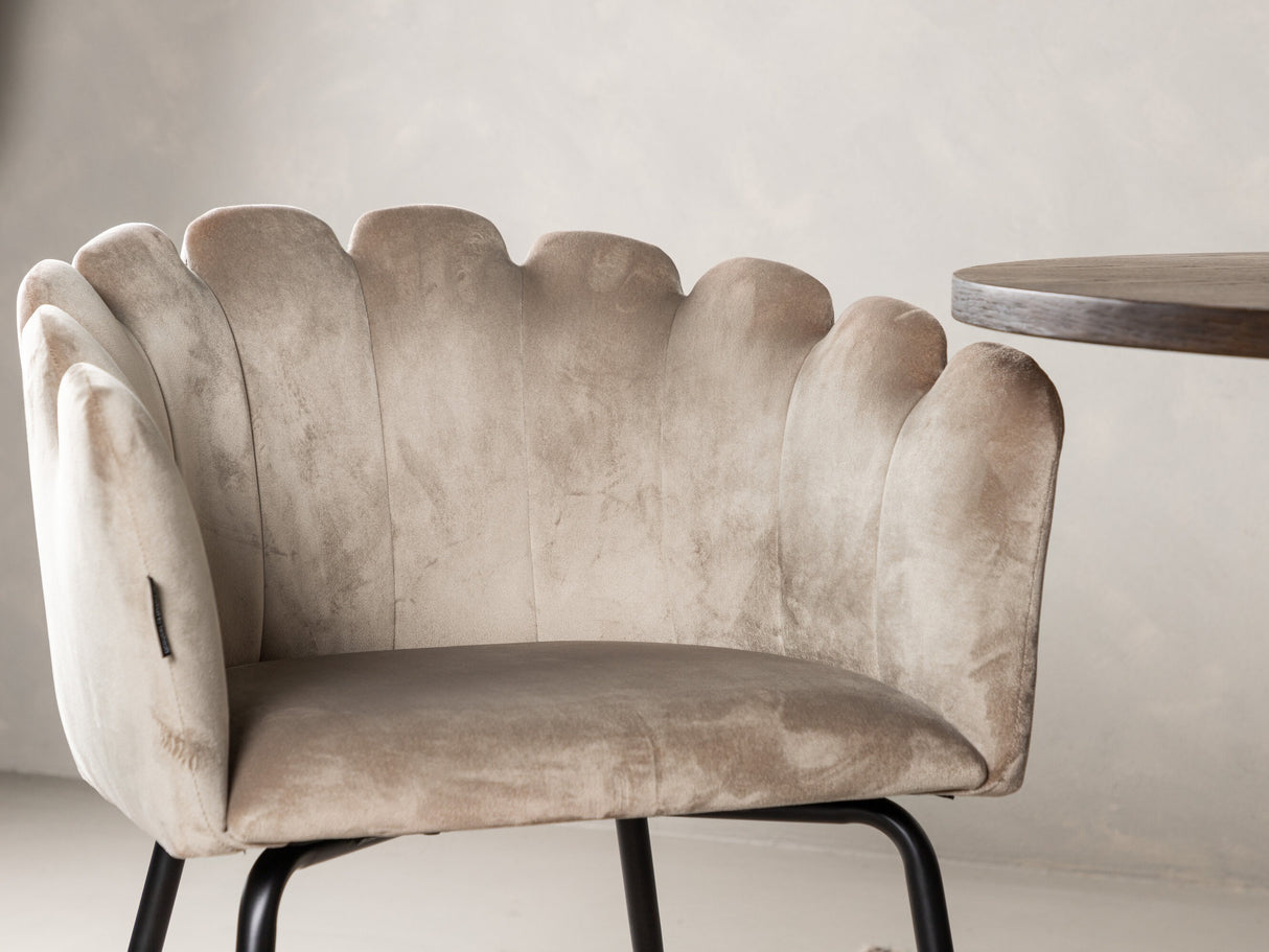 Ēdamistabas komplekts 623861