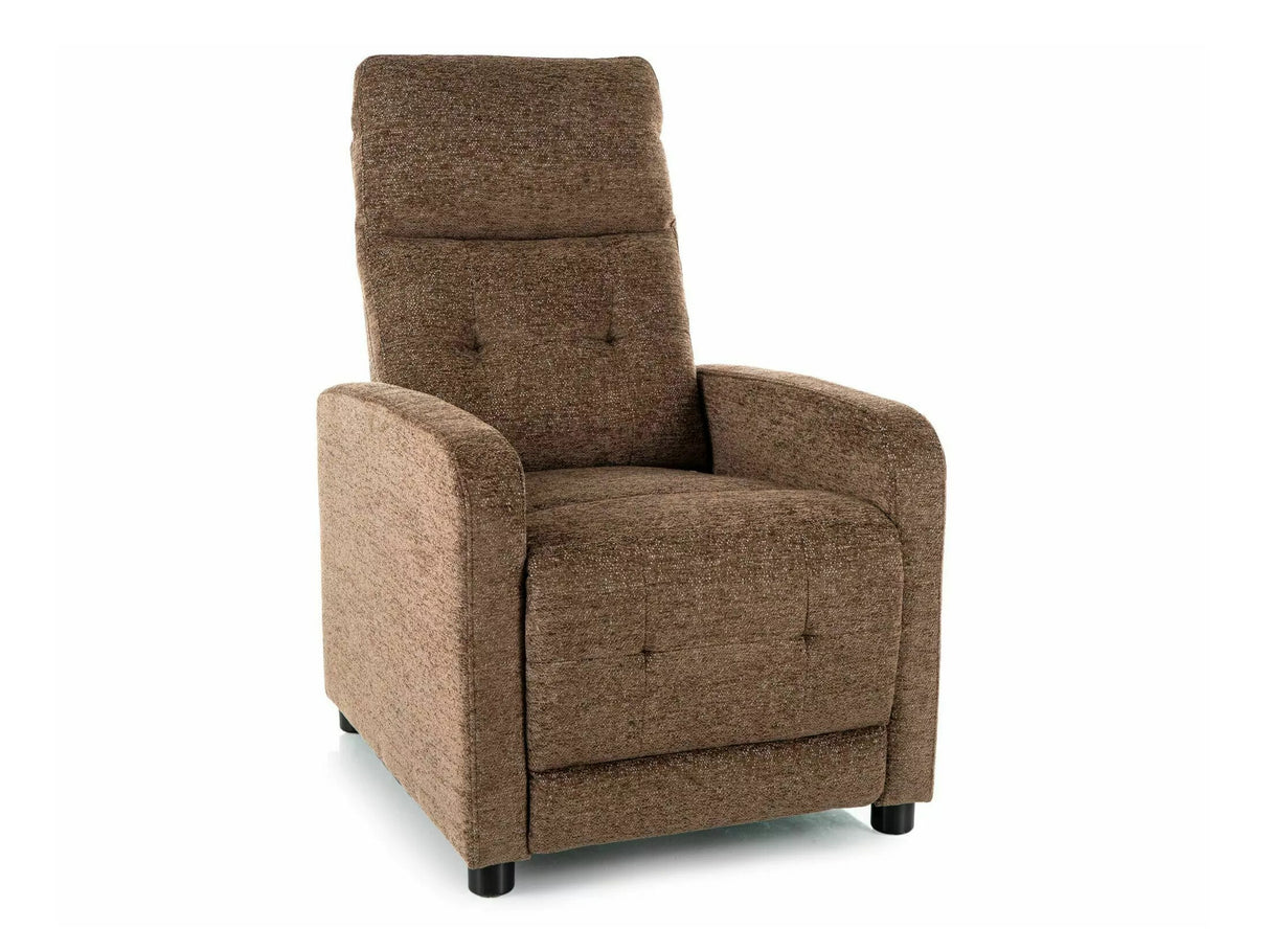 Atpūtas krēsls reglainer 548147