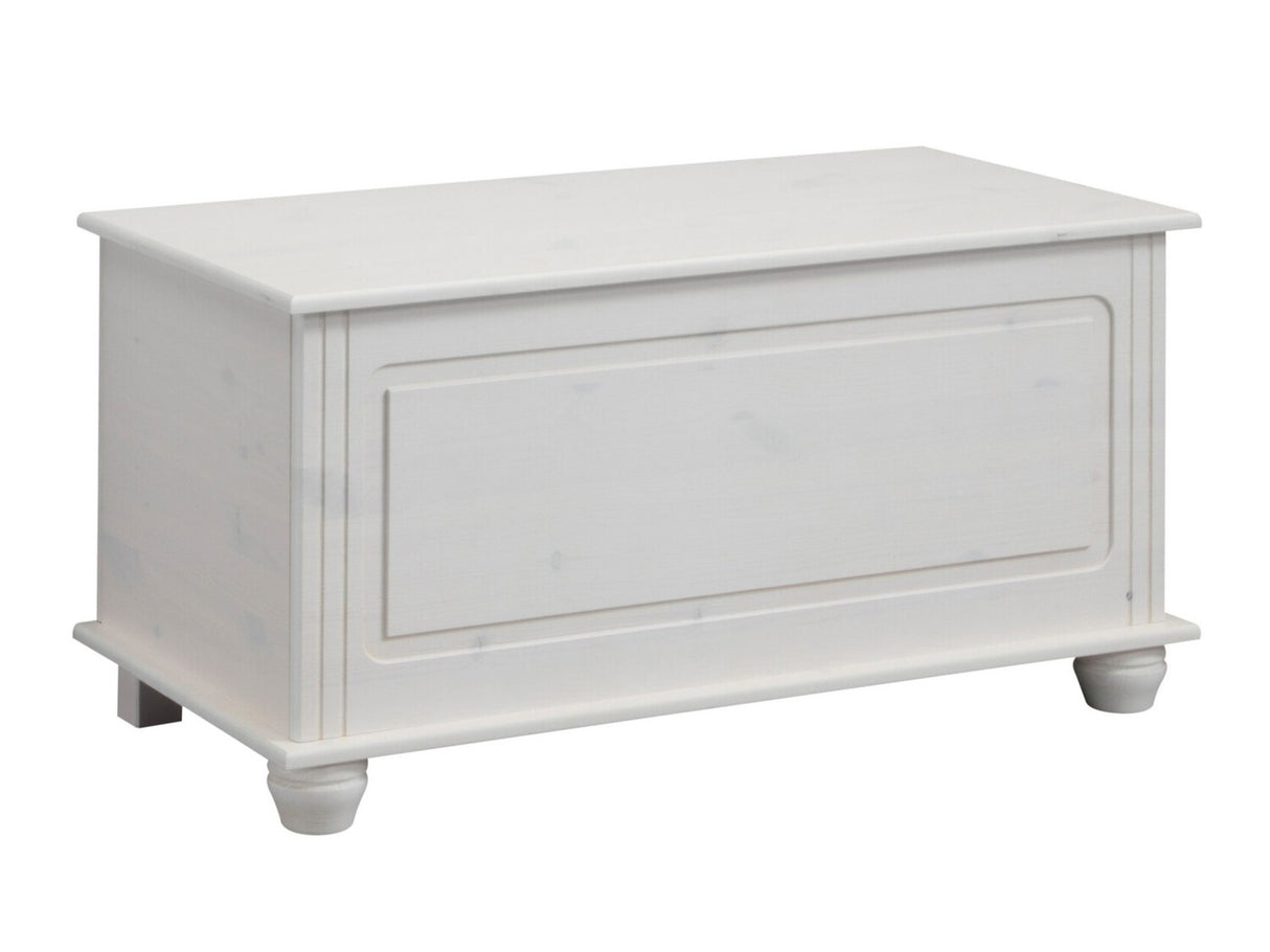 Uzglabāšanas kaste 448558