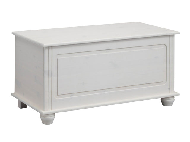 Uzglabāšanas kaste 448558