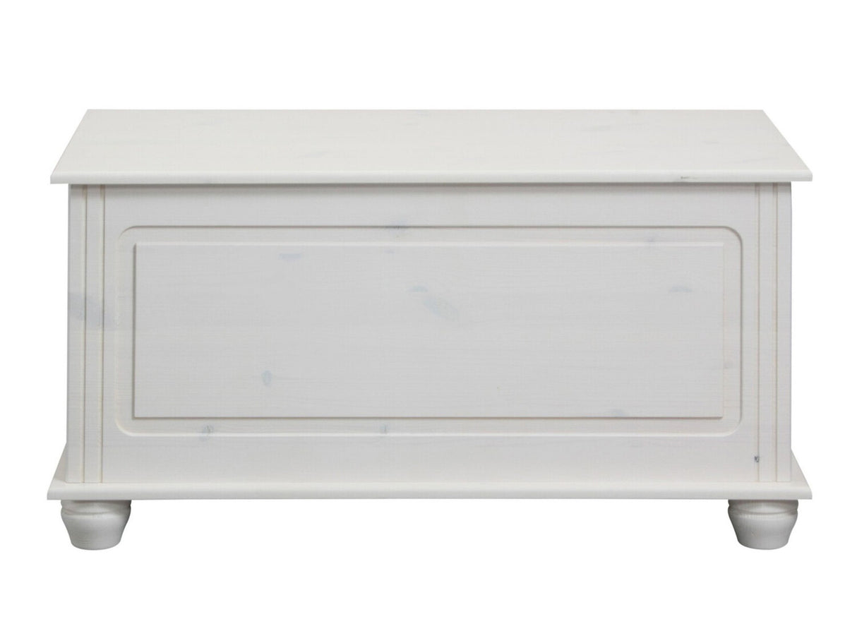 Uzglabāšanas kaste 448558