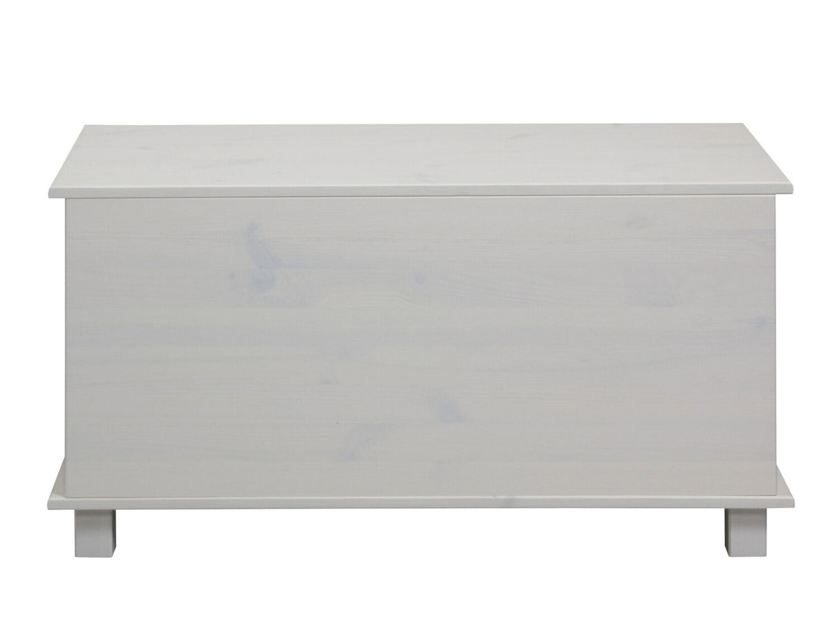 Uzglabāšanas kaste 448558