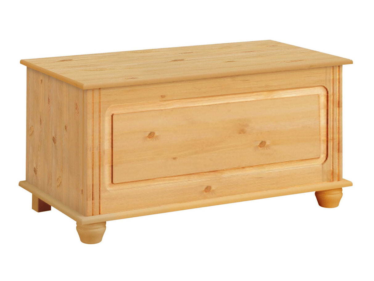 Uzglabāšanas kaste 448558