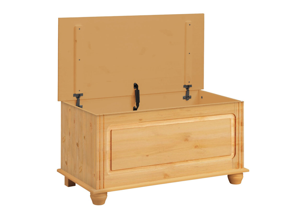 Uzglabāšanas kaste 448558