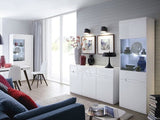 Plaukts 45540