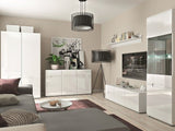 Plaukts 45540