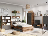 Plaukts 453923