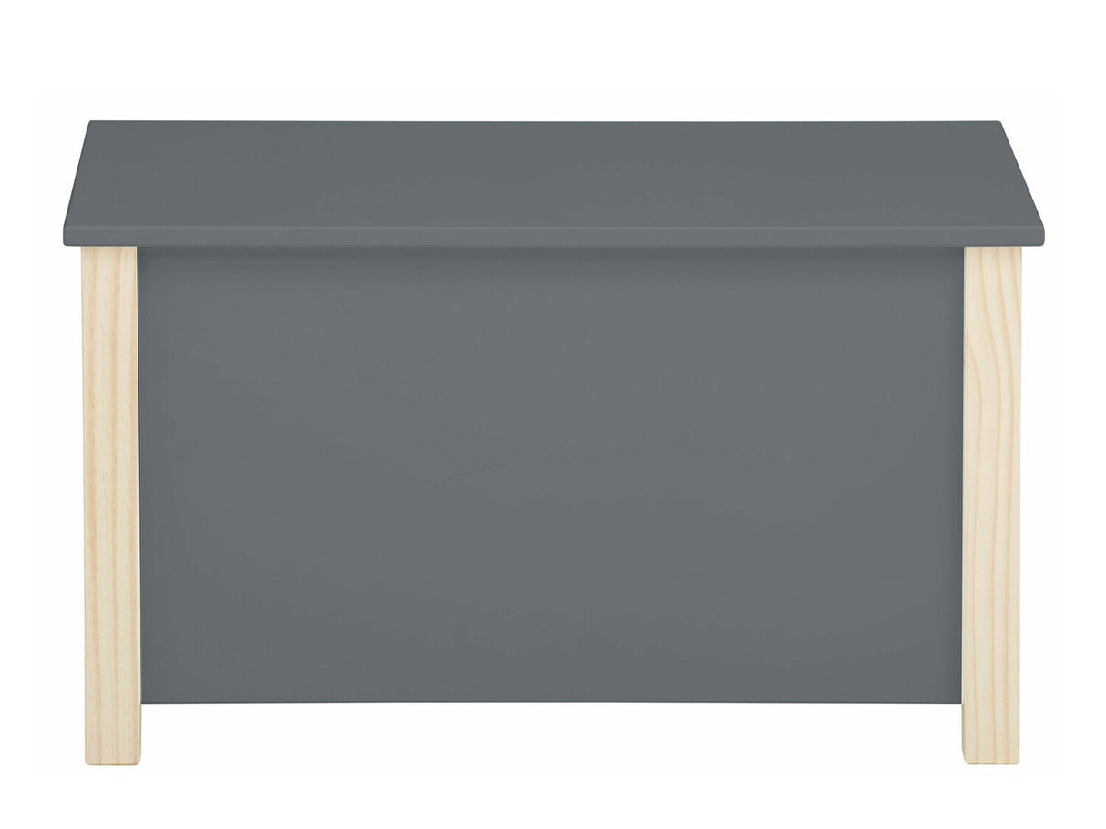 Uzglabāšanas kaste 459286