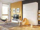 Siena gulta 483040