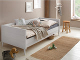 Gulta 419239