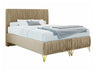 Gulta 509267