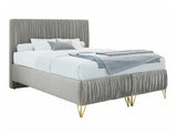 Gulta 509267