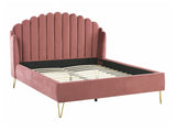 Gulta 514351