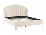 Gulta 514351