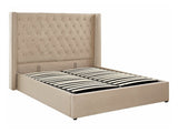 Gulta 517009