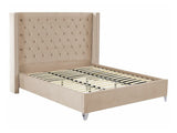 Gulta 517071