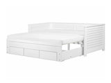 Gulta 517602